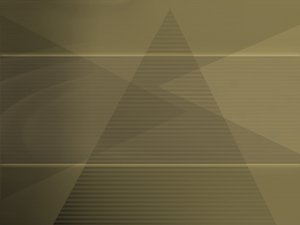 加盟体系降本增效实战案例集